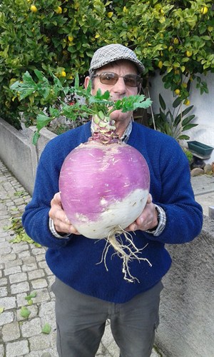 Pel grande nabo 01.jpg
